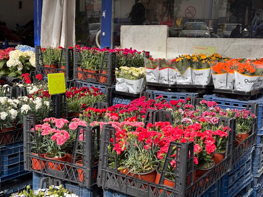 Outdoor display of flower pots featuring vibrant pink, red, white, yellow, and orange blooms arranged in black plastic crates. The flowers include carnations, chrysanthemums, and other colorful season